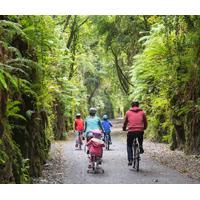 Kilbarry Nature Park and Waterford Greenway continue to fly the Green Flag