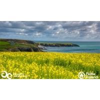 Lead The Way: Become an Ireland’s Ancient East Champion