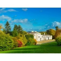 Experience Leaf Peeping at Mount Congreve – Waterford’s Ultimate Autumn Destination