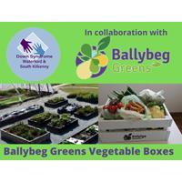 Ballybeg Greens Vegetable Boxes