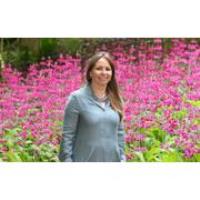 Commercial Director appointed at Mount Congreve Gardens and Waterford Treasures