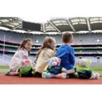 Make Your Own Furry Friend at the GAA Museum's Teidí Tours