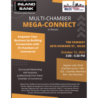 Multi Chamber Mega Connect - In Person Speed Networking Event