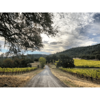 "No Drop" Guided Mountain Bike Ride