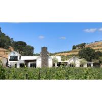 Baldacci Family Vineyards - Napa