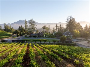 Theorem Vineyards Theorem Vineyards