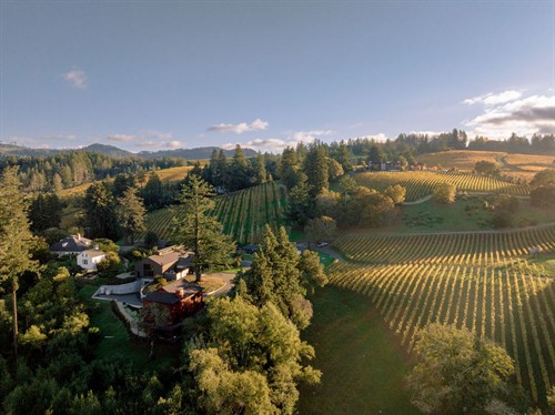 Theorem Vineyards historic farmstead and heritage vineyard on Calistoga's Diamond Mountain