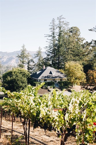 Theorem's heritage vineyard, planted in 1985, overlooks the historic Cole House, dating back to the 1800s.