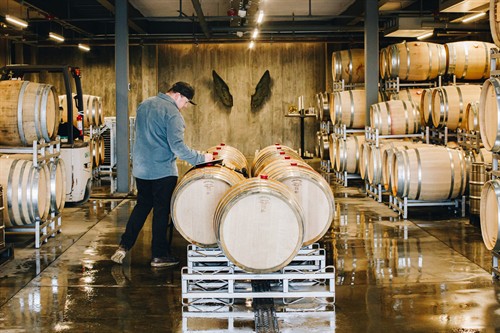 Walking tours include wine tasting in the underground barrel cellar at Theorem Winery in Calistoga