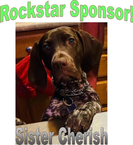 Sister Cherish - Chapel Hill's Grief Support Dog 