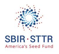 I Could Get Money to Develop My Idea? An overview of the SBIR/STTR program