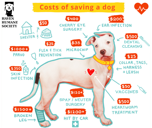 Gallery Image Costs_of_Saving_a_Dog_2021_graphic.png
