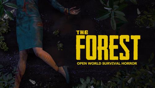 4-Player Survival Horror VR Game, The Forest