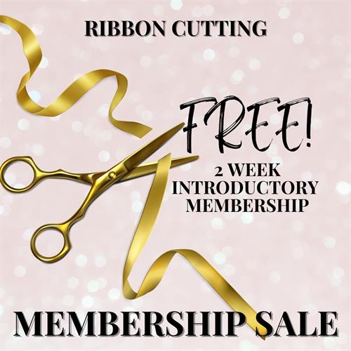 Ribbon Cutting Special 2 weeks free Barre and Stretch unlimited classes