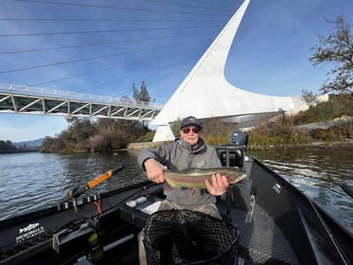 80 year old Ed lands a beautiful rainbow trout under the Sundial Bridge