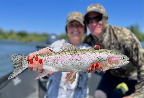 Lower Sacramento River Rainbow Trout landed with MoJoBella Fly Fishing®