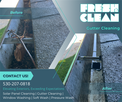 Gutter Cleaning (Before/After)