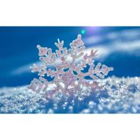 Cambridge Lighted Snowflake Parade
