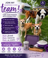 Pampered Chef Independent Consultant
