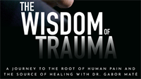 Wisdom of Trauma