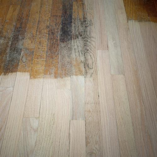 Gallery Image 1000001857.jpg