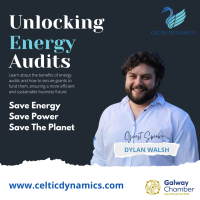 Understanding Energy Audits: Unlocking Efficiency for Irish Businesses