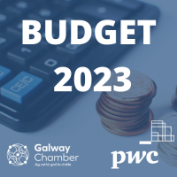 Budget 2023 Analysis Event