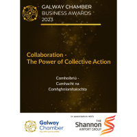 Galway Chamber Business Awards 2023