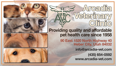 Arcadia Veterinary Clinic Arcadia Veterinary Clinic