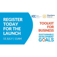 SDG Toolkit for Business Launch