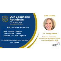 B2B Lunchtime Event with Dr Audrey Stenson IADT