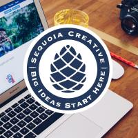 Marketing Mastery: Advertising on a Budget