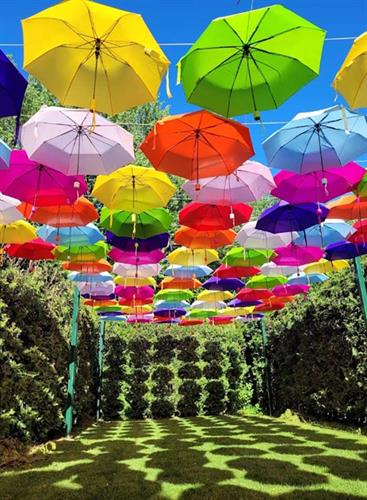 Gallery Image Adelines-House-of-Cool-Umbrella-Garden-Canopy-of-Color.jpg
