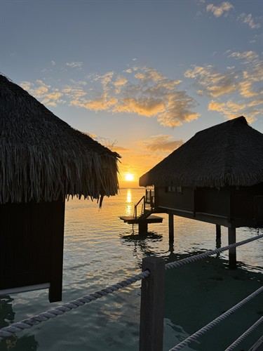 Gallery Image Tahiti_bungalow.jpeg