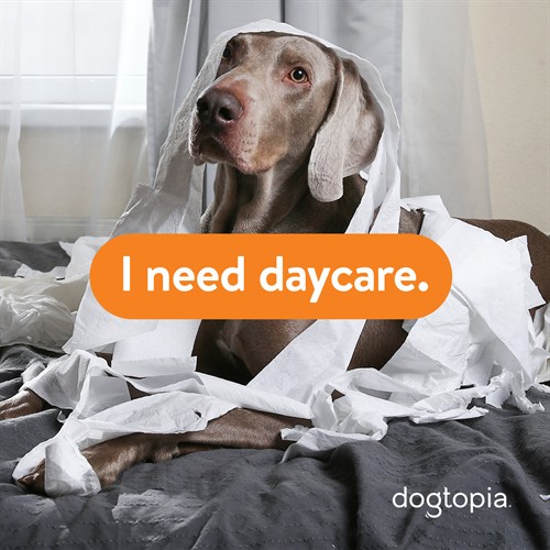 Gallery Image 2024_INeedDaycare-Social-01.jpg