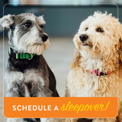 Gallery Image overnight-06_(1).jpg