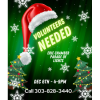 Volunteers Needed - Parade of Lights