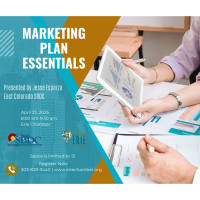 Marketing Plan Essentials