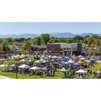 13th Annual Erie Brewfest