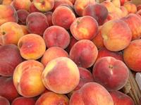 Rotary Club of Erie Peach Fundraiser