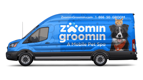 Gallery Image zoomin-17790-vanmock-driverside-1_orig.png Gallery Image zoomin-17790-vanmock-driverside-1_orig.png