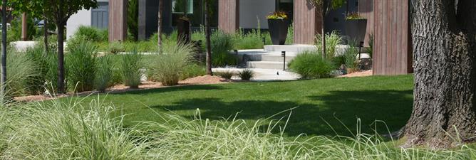 Native Edge Landscapes Native Edge Landscapes