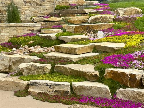 Gallery Image IMG_1869.JPG