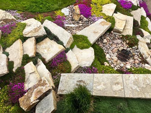 Gallery Image IMG_1878.JPG