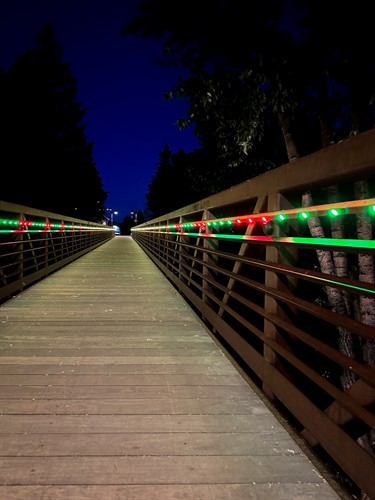 Silverthorn Bride lights