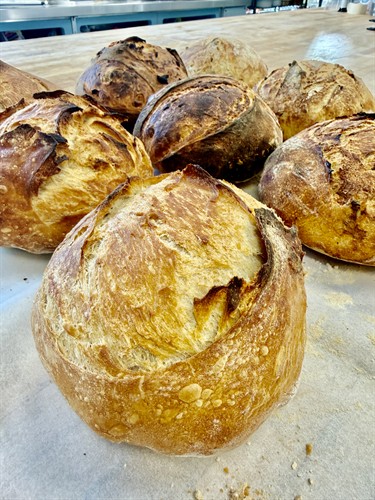 Gallery Image IMG_4555.jpeg