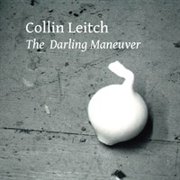 Twelve Ten Gallery presents Collin Leitch, "The Darling Manuever"