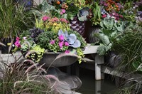 Fall in Full Color: Beyond Orange, An Introduction to Fall Container Design Workshop