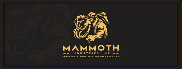Mammoth Industries Inc. Mammoth Industries Inc.