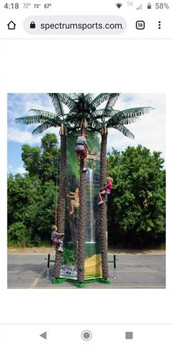 Coconut Tree Climbing Wall